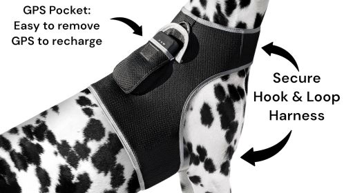 Consistent GPS Cat/Dog Tracking System Waterproof Mini Tracking Device Size:S