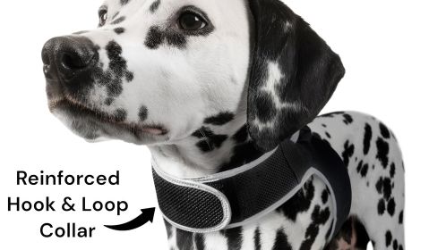 Affordable Realtime Waterproof GPS GSM GPRS Tracker for Your Pet Dog Size:S