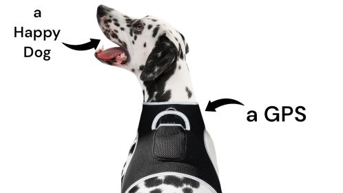 Affordable Mini Realtime GSM GPS GPRS Dog Tracking Collar Mount Device Size:S