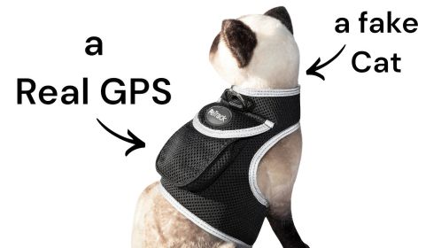 Dependable Realtime Online GPS Pet Tracking System Waterproof Collar Size:S
