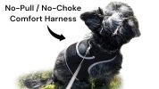 Pet Tracker Motion Detection Rechargeable Pet Finder Best GPS Dog Tracker Size:XL