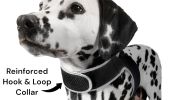 Affordable Mini Realtime GSM GPS GPRS Dog Tracking Collar Mount Device Size:S