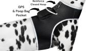 Convenient to Use Realtime Mini Dog GPS Tracking Device with Phone App Size:S