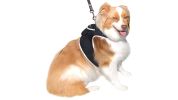 Affordable Mini Realtime GSM GPS GPRS Dog Tracking Collar Mount Device Size:S