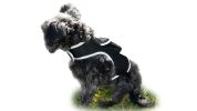 Advanced Motion Detect Realtime Pocket Animal GPS Tracker Pet Locator Size:S