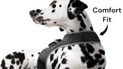 Cheap GSM GPS Animal Tracking Device Portable Realtime Location Finder Size:S