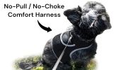 Affordable Mini Realtime GSM GPS GPRS Dog Tracking Collar Mount Device Size:S