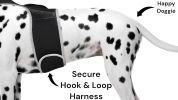 Budget-Friendly Dog Surveillance Pet Tracker GPS Tracking Device for Pets Size:S