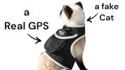 Budget-Friendly Dog Surveillance Pet Tracker GPS Tracking Device for Pets Size:XL