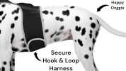 Pet Tracker Motion Detection Rechargeable Pet Finder Best GPS Dog Tracker Size:XL