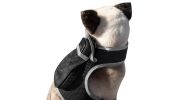 Android Phone Compatible Dog Tracking GPS Collar Mount Portable Device Size:S