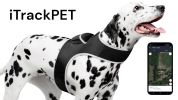 Pet Tracker Mini Electronic Pet Tracking Devices for Realtime Surveillance Size:M