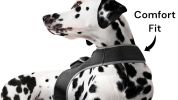 Pet Tracker Mini Electronic Pet Tracking Devices for Realtime Surveillance Size:M