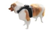 Pet Tracker Waterproof Tracker w/ Online GPS Pet Tracking System Phone App Size:M